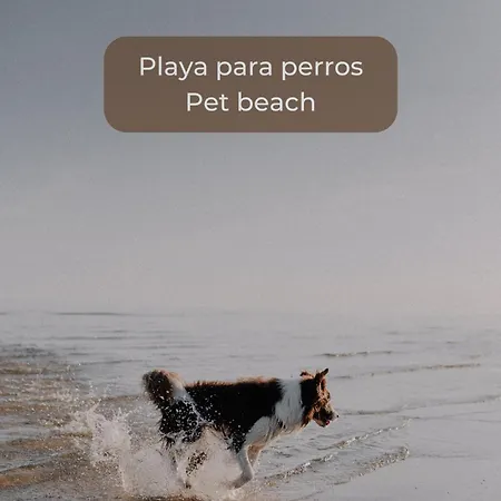 דירה Minty Pool, Terrace, Fiber And Parking *